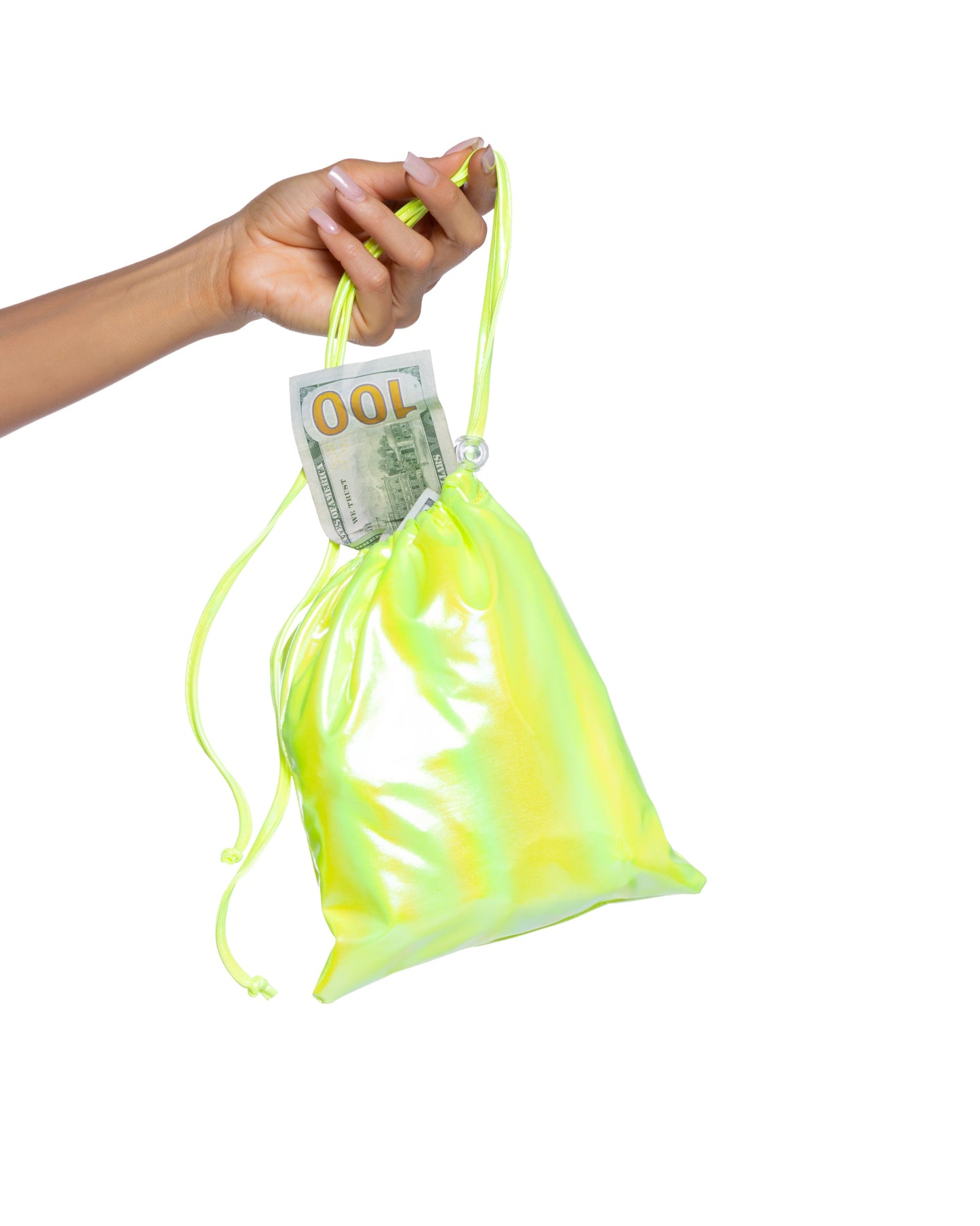 6729 - Metallic Iridescent Money Bag